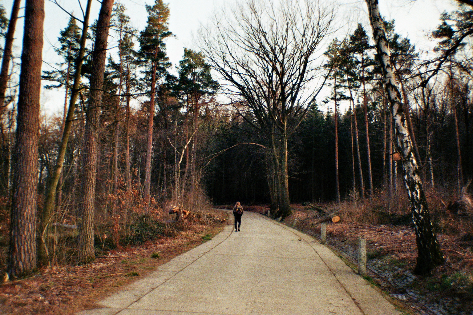 Wanderweg zur Spitze des Collms