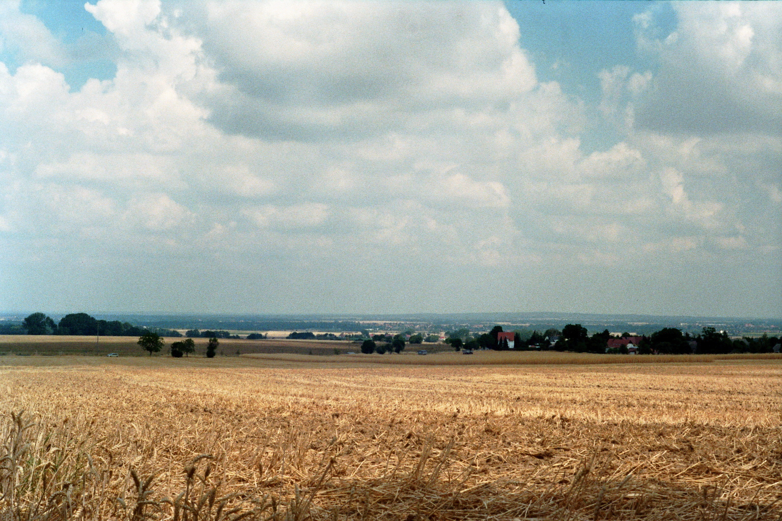 Feld